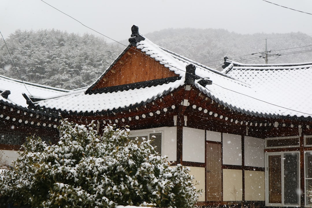 korean rural house roof